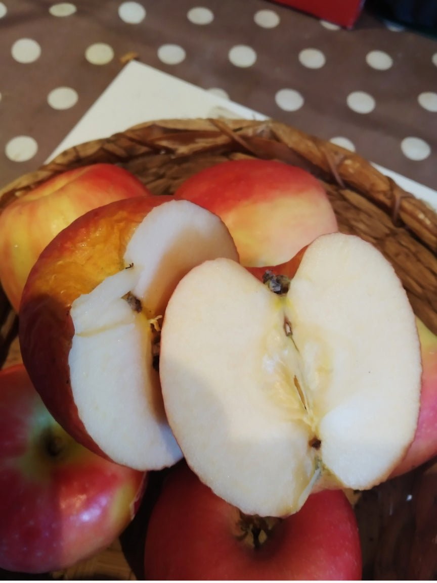 Planche RESON’ESSENS eau et aliments A5