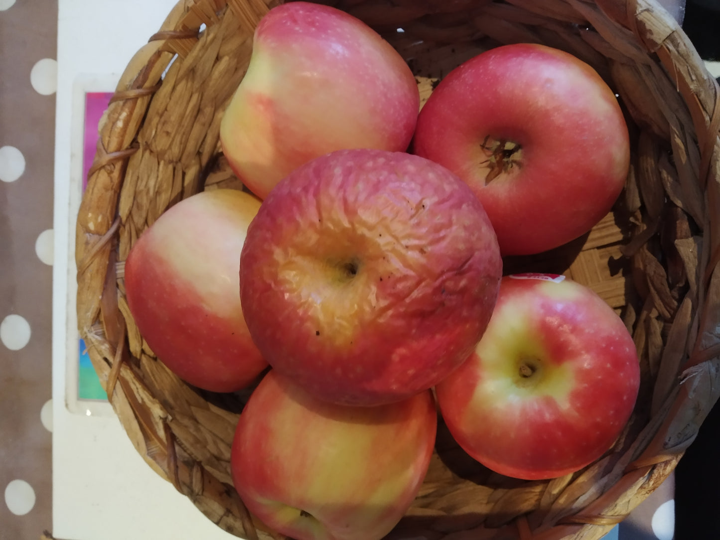 Planche RESON’ESSENS eau et aliments A5