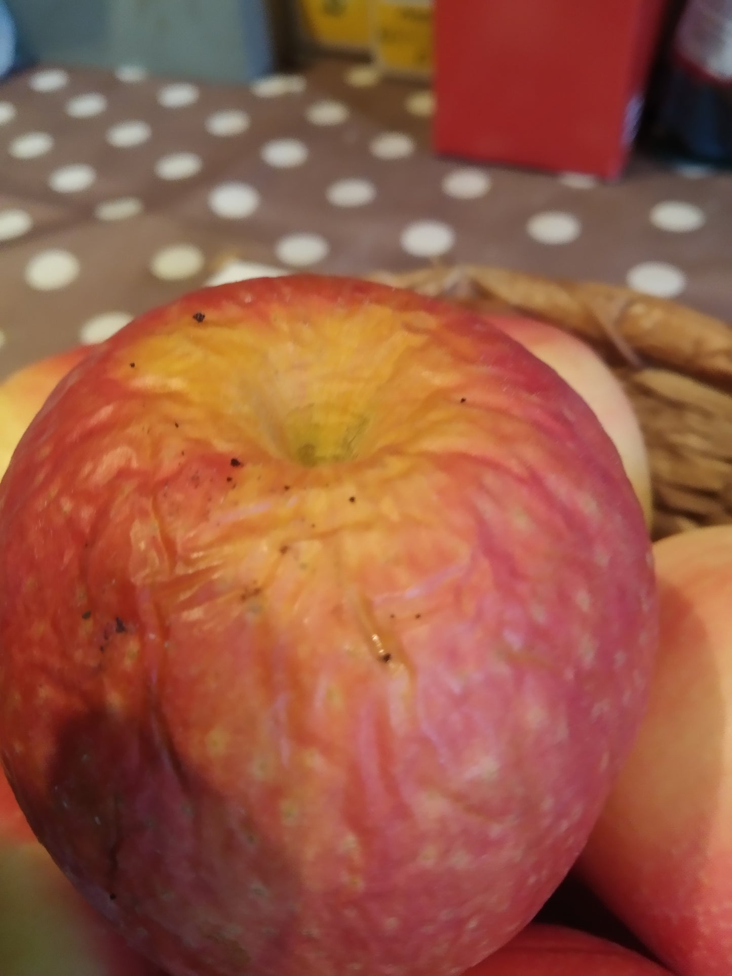 Planche RESON’ESSENS eau et aliments A5